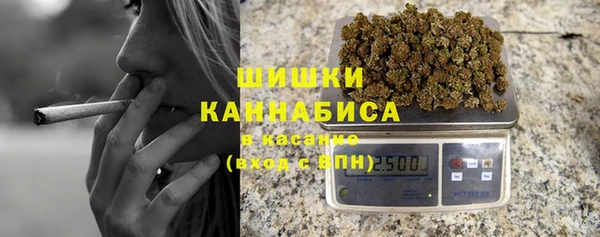 молекула духа Пересвет