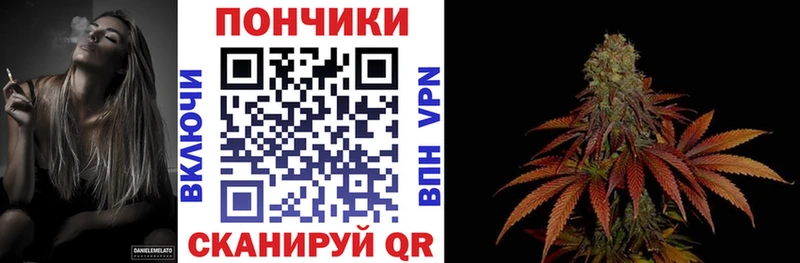 Бошки Шишки THC 21%  Михайлов 